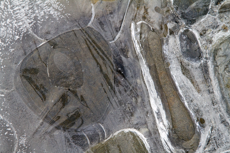 River Rocks Encased In Ice